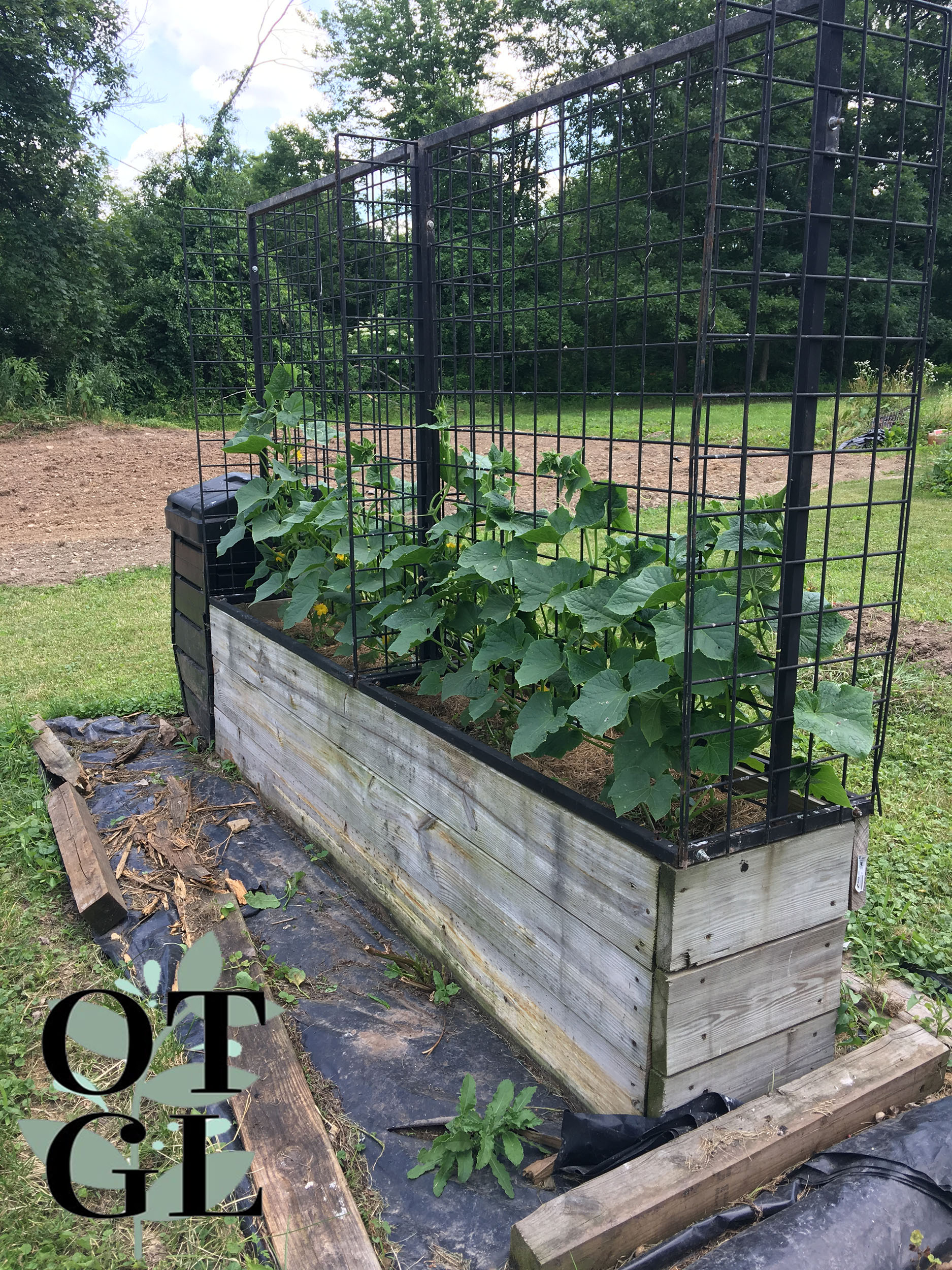 How to Start Composting - Own That Garden Life